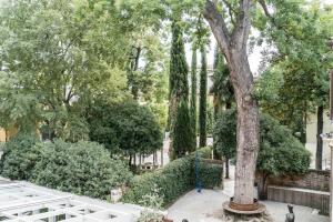 ヴェネツィアにあるMansarda Magritteの木の茂みや木々のある庭園