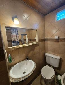 a bathroom with a sink and a toilet and a mirror at Departamento cómodo y renovado a pocas cuadras del parque mitre! in Corrientes