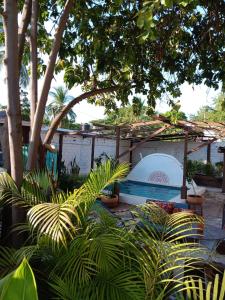 a backyard with a swimming pool and trees and plants at Casa Tzipora in Brisas de Zicatela