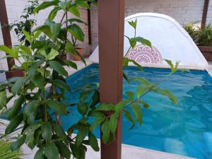 a pool with a chair next to a plant at Casa Tzipora in Brisas de Zicatela +3 photos