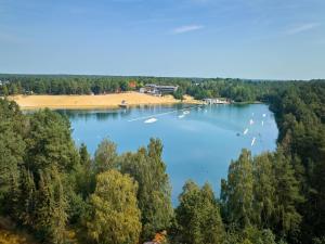 an aerial view of a lake with trees and a beach at Bernsteinsee Homes and Ferien Beach House 2 in Sassenburg