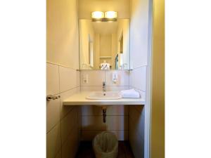 a bathroom with a sink and a mirror at Bernsteinsee Homes and Ferien Beach House 2 in Sassenburg