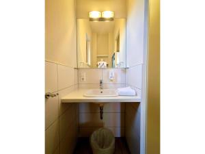 a bathroom with a sink and a mirror at Bernsteinsee Homes and Ferien Beach House in Sassenburg +32 photos