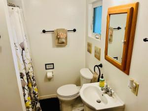 a bathroom with a toilet and a sink and a mirror at Riverfront with EV charger - Sequoia River Cottage in Three Rivers +21 photos