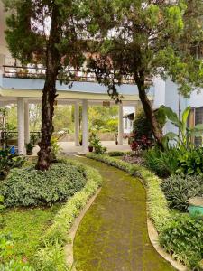 a walkway in front of a building with trees at Kencana INN in Bandungan +5 photos