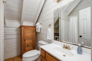 a bathroom with a toilet and a sink and a mirror at Kingfisher's Cabin 15 Minutes to Casino Hot tub Firepit in Murphy +46 photos