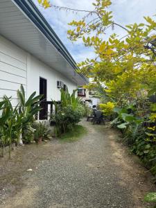 a garden outside a white building with plants at Couple Room by Burication Homestay in General Luna