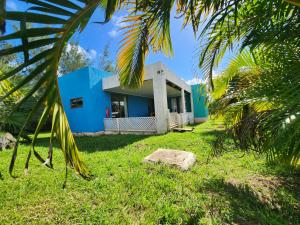 a blue house with a palm tree in front of it at Cabañas Kai Rau Tu in Hanga Roa