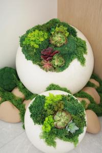 a cake with moss and plants on top of it at Una Hotel in Mantaak