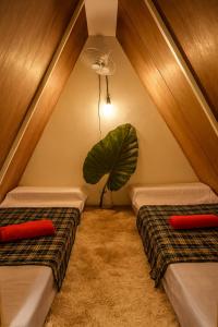 a room with two beds and a plant at Kapsula El Nido in El Nido
