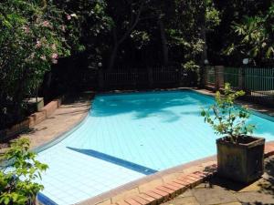 a large swimming pool with a tile floor and a plant at The Estuary Guest Chalets in St Lucia