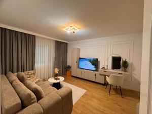 a living room with a couch and a flat screen tv at Olt view apartament in Călimăneşti