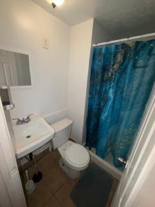 a bathroom with a toilet and a sink and a shower curtain at Downtown Taylor Private Entry Room 2 in Phoenix