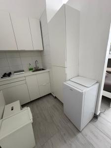a white kitchen with a sink and a refrigerator at INDUSTRIAL STUDIO 1 in Ljubljana