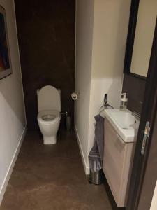 a small bathroom with a toilet and a sink at La Cosette Janvier in Mios