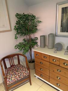 a chair sitting next to a dresser and a tree at La Cosette Janvier in Mios
