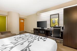 a hotel room with a bed and a desk with a television at Sleep Inn at Greenville Convention Center in Greenville
