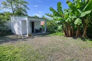 a small white building next to some banana trees at Kaza Domi studio in Le Lamentin
