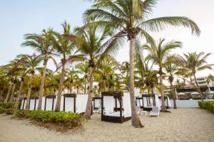 a row of palm trees on a sandy beach at Occidental Nuevo Vallarta - All Inclusive in Nuevo Vallarta +65 photos