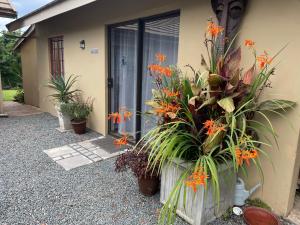 a house with plants in front of a door at PINE COTTAGE Self catering fully equipped 2 bedroom, Queen bed 3 singles 65sqm cosy private cottage in Durban