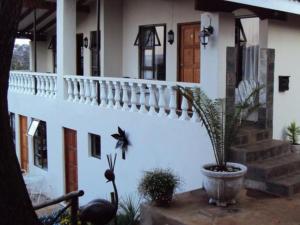 a house with a potted plant in front of it at Sunrise Guesthouse in Greytown
