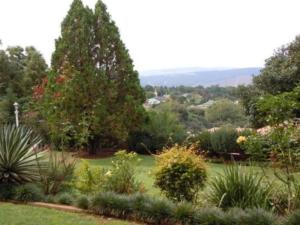 a garden with many plants and trees at Sunrise Guesthouse in Greytown