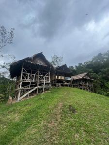 a building on top of a grassy hill at Sumatra Orangutan Tours Orangutan Trekking with Airport Pick Up Drop Off and Accommodation Trekking Required for All Bookings in Bukit Lawang
