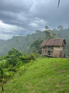 an old building on a hill in a field at Sumatra Orangutan Tours Orangutan Trekking with Airport Pick Up Drop Off and Accommodation Trekking Required for All Bookings in Bukit Lawang +77 photos