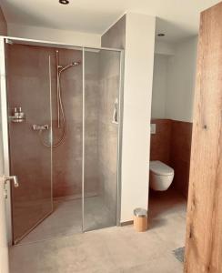 a glass shower in a bathroom with a toilet at Comfort Rooms mit Whirlpoolzugang in Romanshorn
