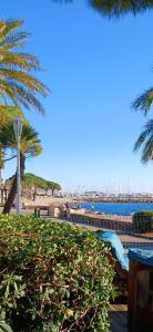 a view of a beach with palm trees and the ocean at Studio port santa lucia in Saint-Raphaël
