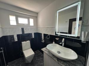 a bathroom with a sink and a toilet and a mirror at The Woodside Manor in Nuwara Eliya