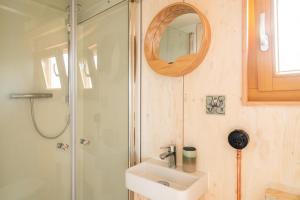 a bathroom with a shower and a sink and a mirror at Hausboot Alma in Schleswig