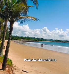 a beach with a palm tree and the ocean at Ambiente familhiar in Guarapari