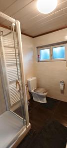 a small bathroom with a toilet and a window at Alpenblick in Trofaiach
