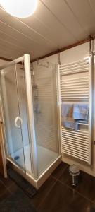 a shower with a glass door in a bathroom at Alpenblick in Trofaiach