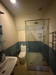 a bathroom with a shower and a toilet and a sink at Villa lux in Qusar +7 photos