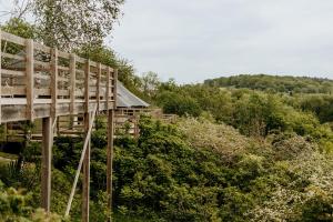 a wooden pedestrian bridge over a hill with trees at Greenfields Glamping Durbuy in Durbuy +52 photos