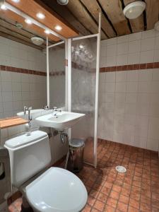a bathroom with a toilet and a sink at Riihilinna Ski Lodge in Muurame +45 photos