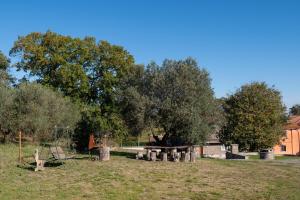 a park with a picnic table and a tree at Tuscia Holidays in Zepponami