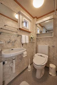 a bathroom with a toilet and a sink at Cozy traditional Chalet, Stunning Mountain Views in Grindelwald +19 photos