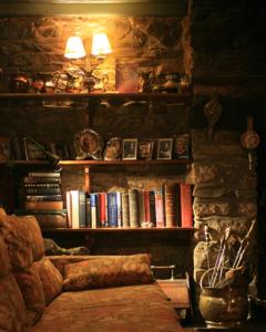 a living room with a couch and a shelf of books at Fferm Y Felin in Carmarthen