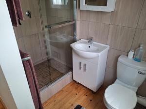 a bathroom with a shower and a toilet and a sink at R & A's Cottage in Strand