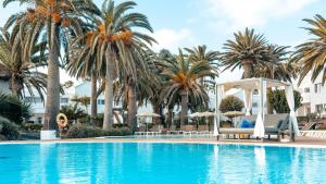 a swimming pool with palm trees and a gazebo at BLUESEA Corralejo Village in Corralejo +47 photos