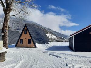 a wooden house in the snow with a tree at Parc Sonnleiten - A Chalet in Gnesau