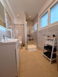 a bathroom with a sink and a toilet and a shower at Escapade au Lac in Corancy