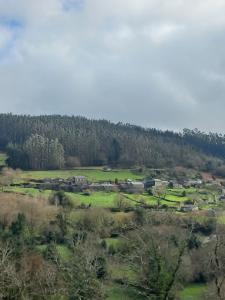 a green field with houses and trees on a hill at Lar da avoa in Ouviaña +4 photos