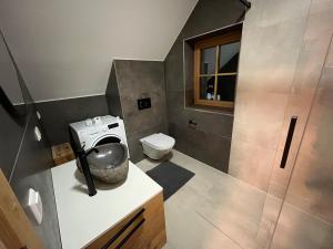 a bathroom with a sink and a toilet in it at TANAs Almhütte in Flattnitz +23 photos
