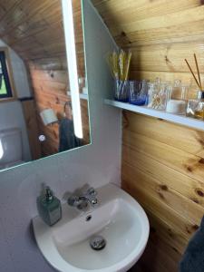 a bathroom with a sink and a mirror at Squirrel's Drey in Torphichen
