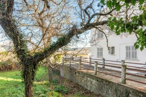a tree next to a fence in front of a white house at Nebbiu - 25km de Bastia in Murato
