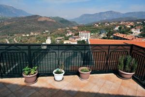 a balcony with four potted plants on it with mountains at La terrazza in Contursi